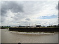 View of the O2 from the Bow Creek Ecology Park path #3