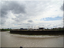 TQ3981 : View of the O2 from the Bow Creek Ecology Park path #3 by Robert Lamb