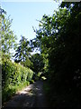 Infirmary Lane Footpath to Coldhall Lane