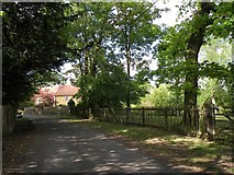 TL8240 : Part of Hall Road near the parish church by Robert Edwards