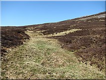 NN9381 : Burn in the peat by Richard Webb