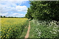 Public footpath from Linton to Hildersham