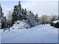 Lovelands Lane from Scotts Grove Road