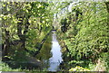 Croydon Canal, Betts Park