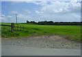 Nettle Hill Farmland