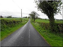H4178 : Cashty Road, Gortnacreagh by Kenneth  Allen
