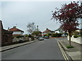 Glimpses of spring in Broomfield Avenue