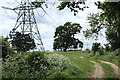 TL5547 : Transmission lines beside Cow Gallery Wood by Rob Noble