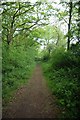 Bridle Path to Tiptree