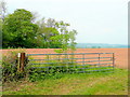 Footpath across a field