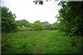 Tiptree Parish Field (North End)