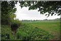 Layer Brook and Footpath