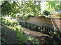 The Quaggy River, Manor Park (9)