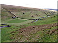 NY8802 : Fields and barns in Stonesdale by Maigheach-gheal