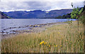 Ullswater at Dobbin Wood