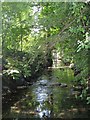 The Quaggy River, Manor House Gardens (4)