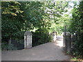 Footbridge over the Quaggy River in Manor House Gardens