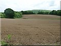 Recently prepared fields by Glasshouse Lane