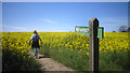 Church Path, Littleworth