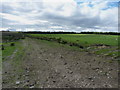 West along the bridleway towards Kex Gill Moor