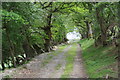 Track arriving at Bryn-y-castell