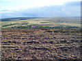 Cat Back, moorland valley