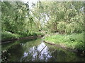 River Ravensbourne in Brookmill Park