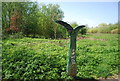 TQ3568 : National Cycle Network Milepost, South Norwood Country Park by N Chadwick