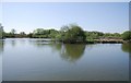 TQ3568 : Pond, South Norwood Country Park by N Chadwick