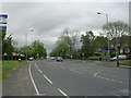 Swaine House Road - viewed from Kings Road