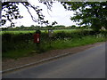 TG0523 : The Village Postbox & Themelthorpe Village Notice Board by Geographer