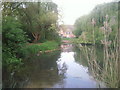 The pond in Folkestone Gardens