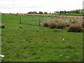 Farmland and mining remains near Shotts