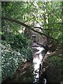 The Quaggy River west of Weigall Road, SE12 (3)