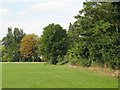 Recreation ground north of Ravens Way, SE12 (3)