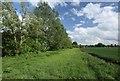 Field boundary south of Hilperton Marsh