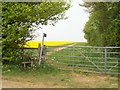 Footpath meets road