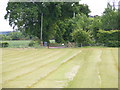 Footpath to Loudham Hall Road