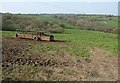 Pasture by Coombe Hill