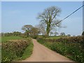 Lane to Temple Cross