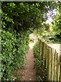 Footpath to Church Terrace