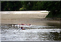 TQ1977 : Lady Rowers on the River Thames at Kew by Christine Matthews