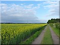 Fields at West Moor