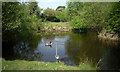 Nature Trail Pond