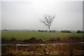 Track by the ECML near Shaftholme