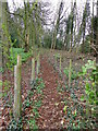 Footpath, Middleton Tyas