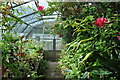 Belgrave Hall - Greenhouse