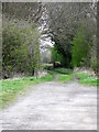 Bridleway near Scorton