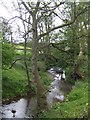 Upstream on the Rea Brook