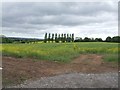 Public footpath from Oldfield